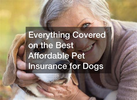 best pet insurance for senior dogs.insquoteslk.com.